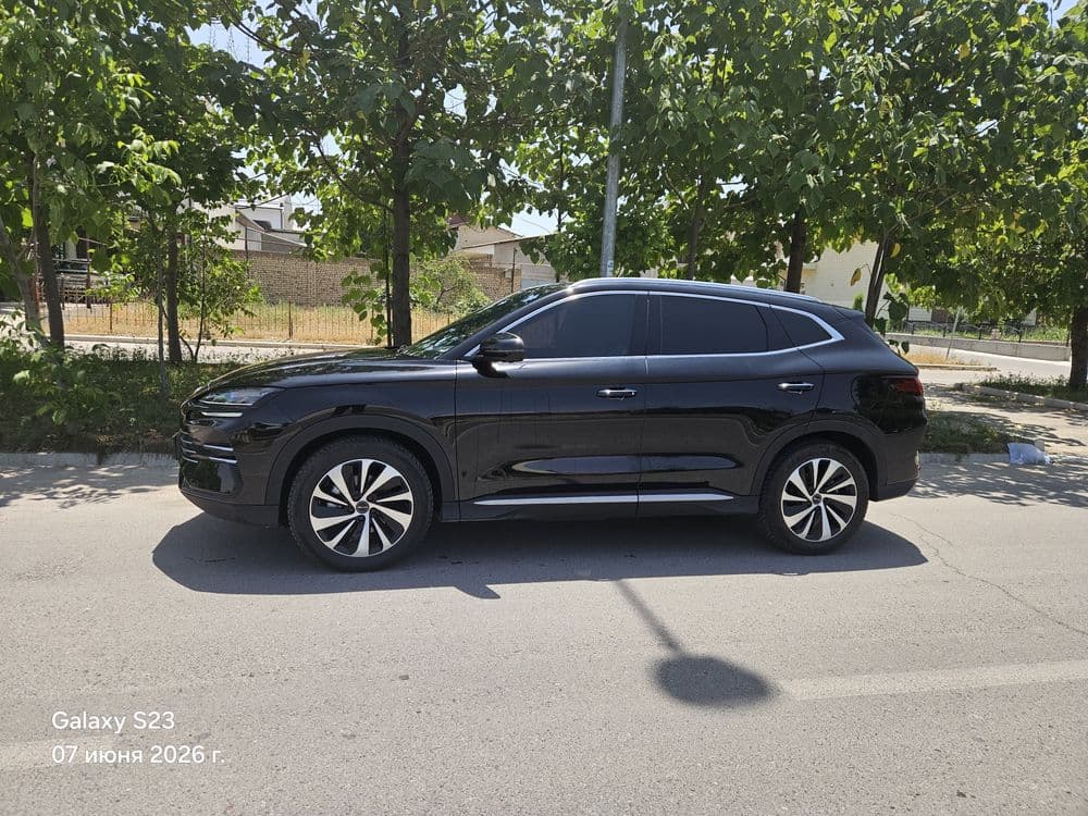 Гибрид BYD чемпион 110 тали — 5