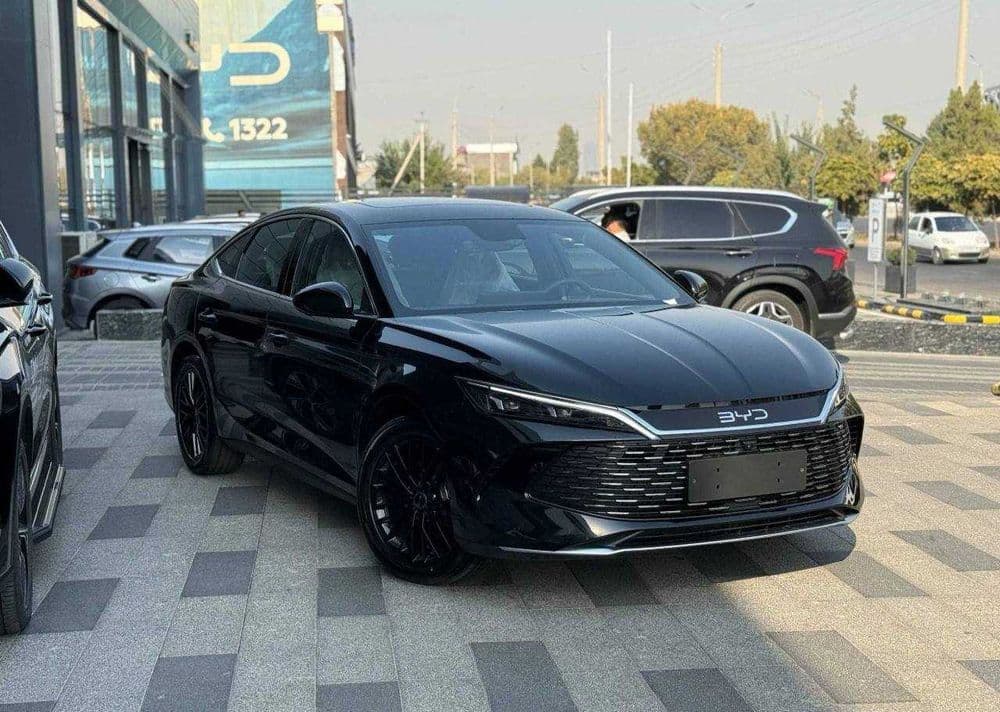Byd seal bolib tolashga — 1