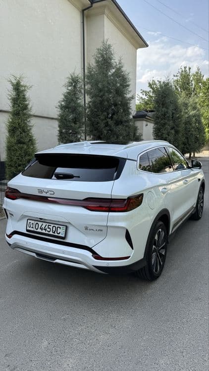 Byd champion smart 2026 — 4