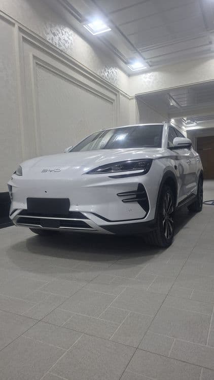 BYD chempion smart — 1