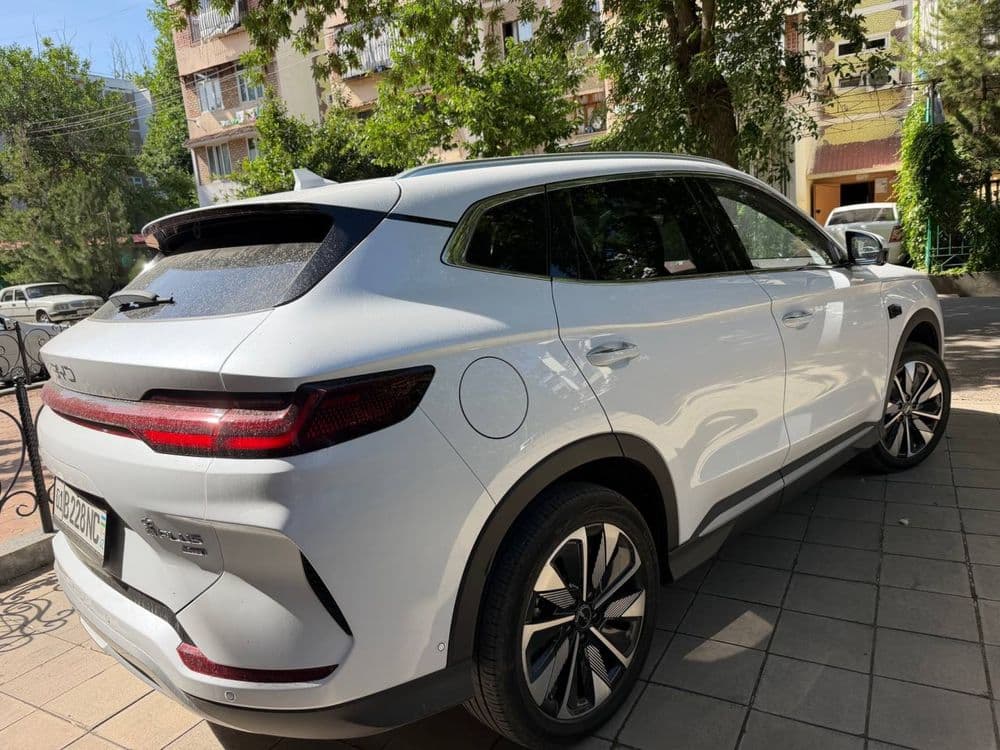 Byd Champion 2025 sotiladi — 3