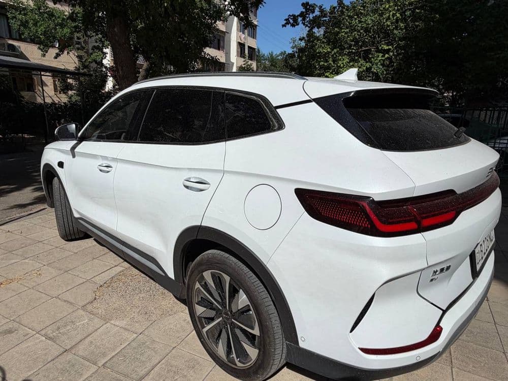 Byd Champion 2025 sotiladi — 5