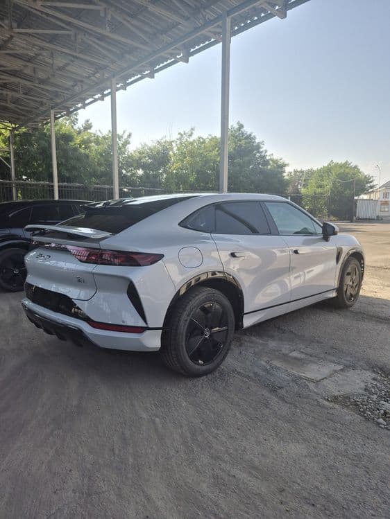 Byd Song L 2025 rwd — 3