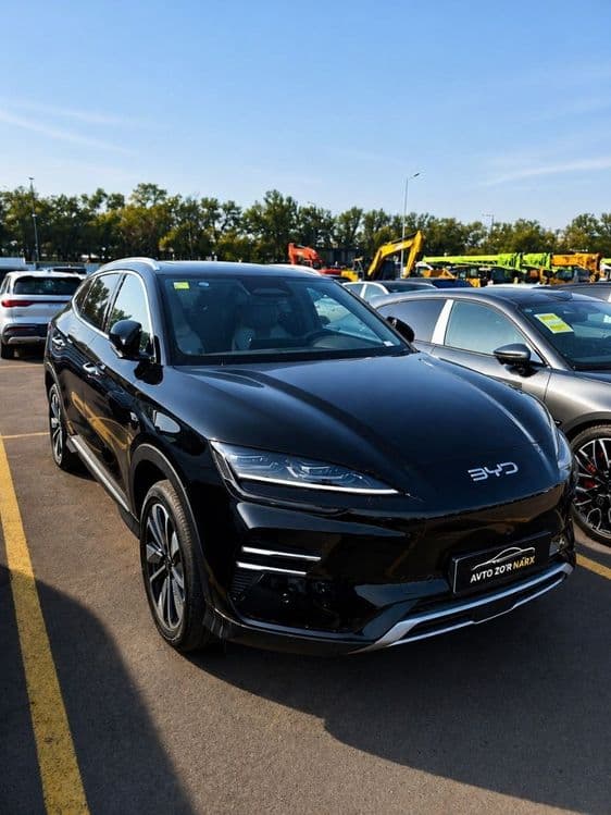 Byd chempion Smart Srochna — 1