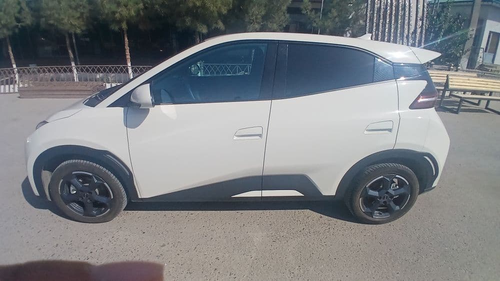 Byd seagul  сотилади — 2