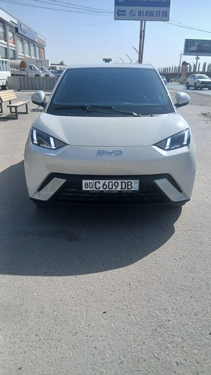 Byd seagul  сотилади — 3