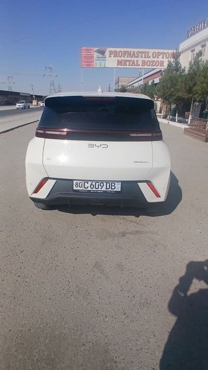 Byd seagul  сотилади — 4