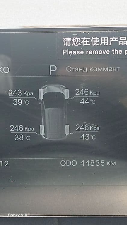Byd seagul  сотилади — 7