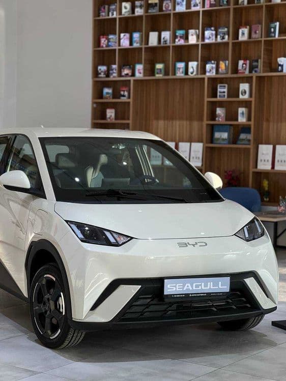 BYD Seagull AVTO KREDİT, Lizing — 1
