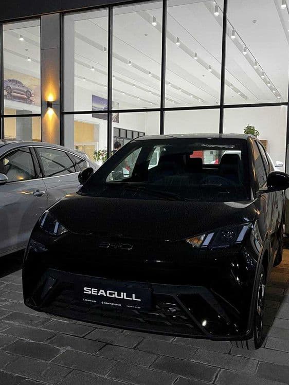 BYD Seagull AVTO KREDİT, Lizing — 2