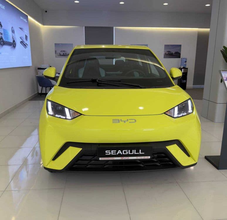 BYD Seagull 405 km
