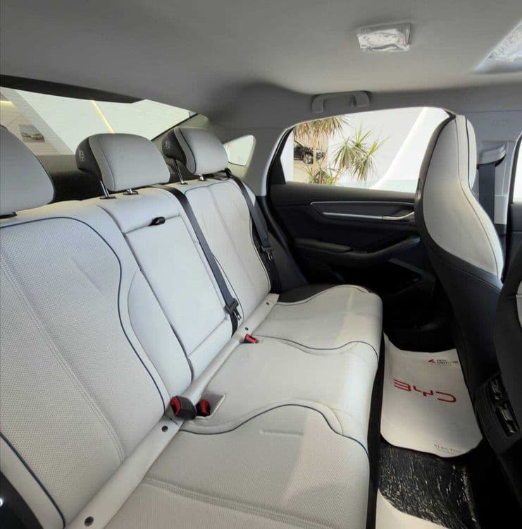 BYD Chazor 55 km Luxe — 4