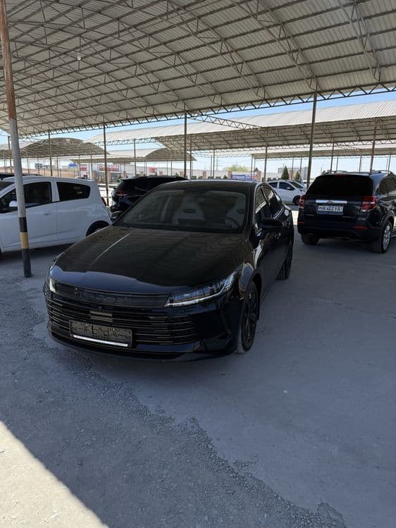Byd chazor 2023 qora