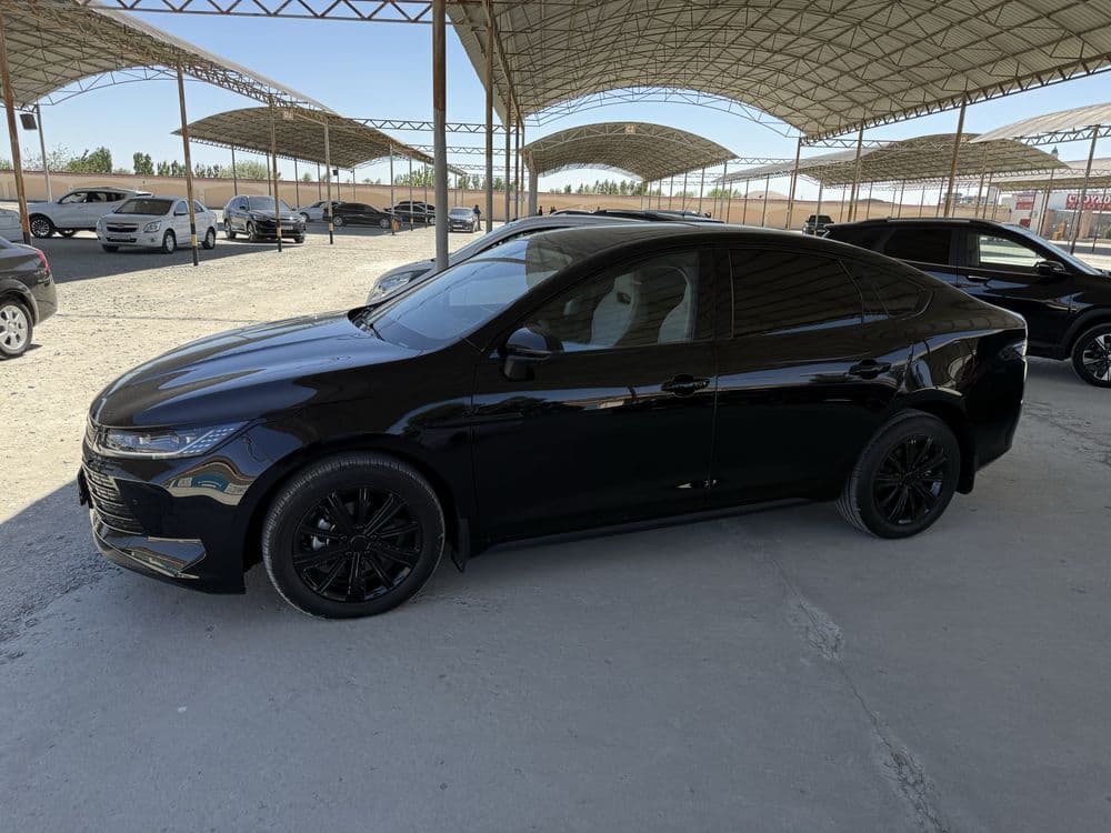 Byd chazor 2023 qora — 2