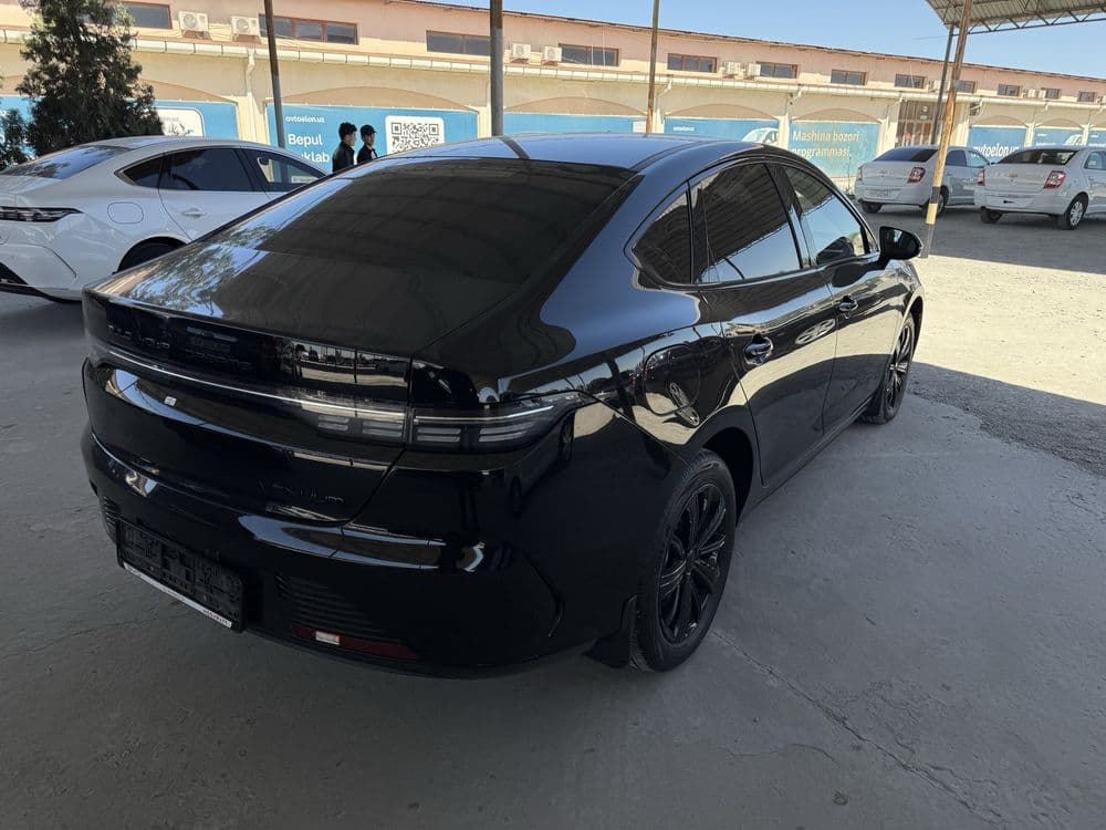 Byd chazor 2023 qora — 3