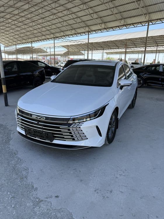Byd Chazor 2024 oq