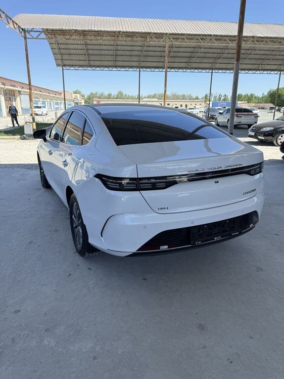 Byd Chazor 2024 oq — 2