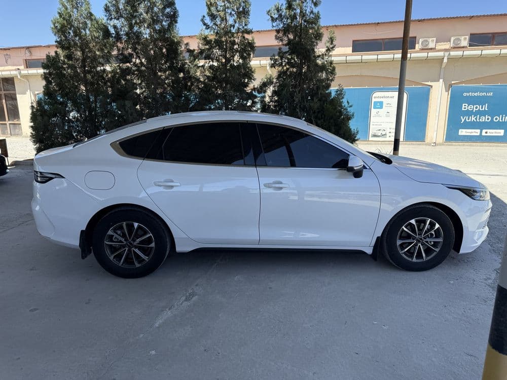 Byd Chazor 2024 oq — 3