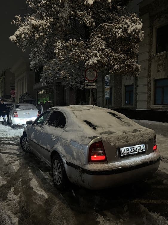 Škoda Octavia tdi 1.9 / Шкода Октавия дизель tdi 1.9 — 6