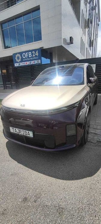 Lixiang L9 Livis — 1