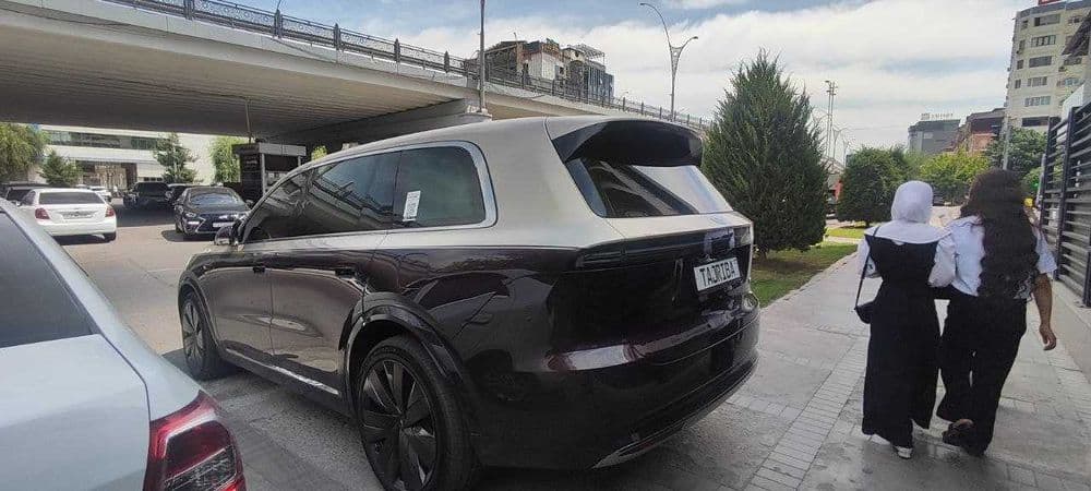 Lixiang L9 Livis — 2