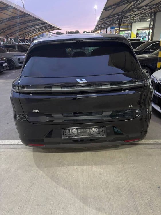 Li6 Pro Restayling 4000km probeg — 2