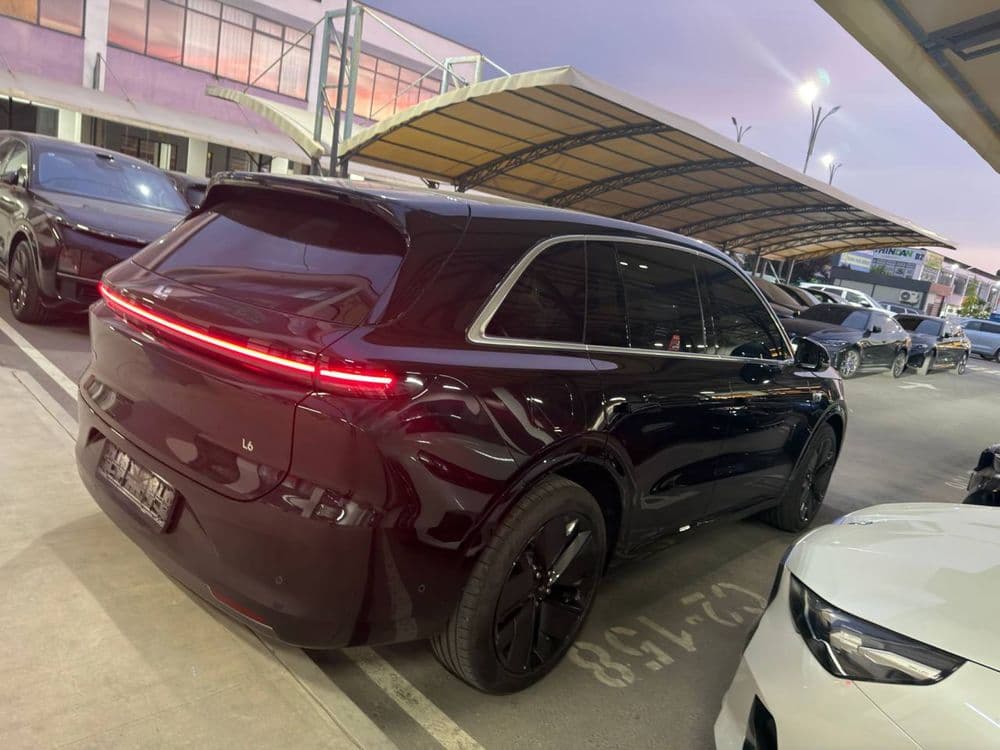 Li6 Pro Restayling 4000km probeg — 3