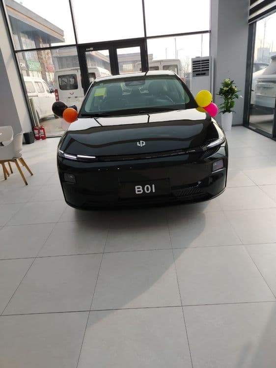 Leapmotor B01 full 650 km — 2