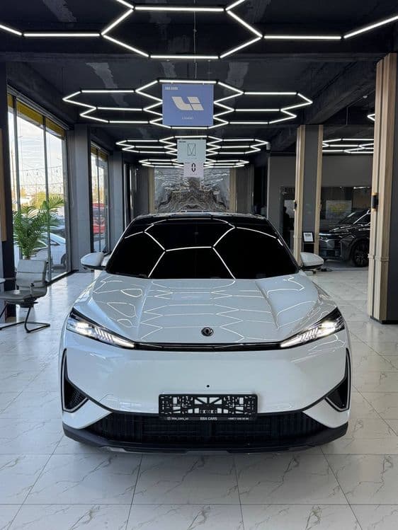 Donfeng L7 elektr — 1