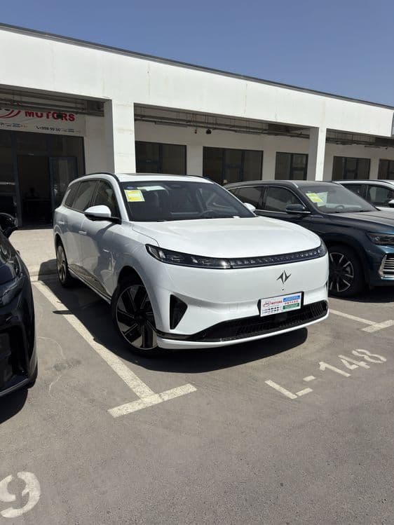 Dongfeng ep008 max 2025 — 1