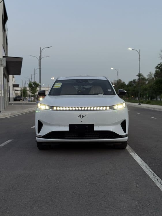 Domgfeng EP008 610 Km 2026 — 2