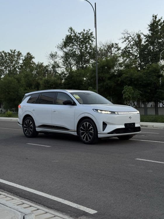 Domgfeng EP008 610 Km 2026 — 3