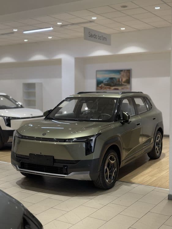 Dongfeng nammi 06 full — 5