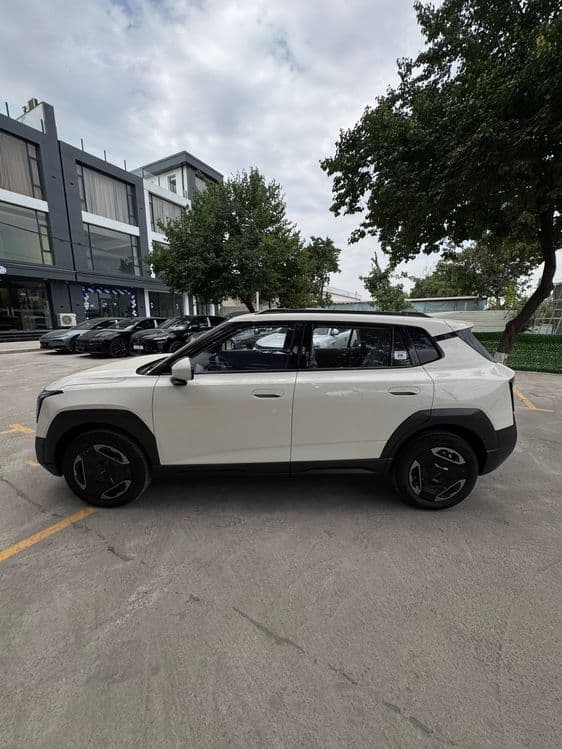 Dongfeng Nammi 06 2026 — 1