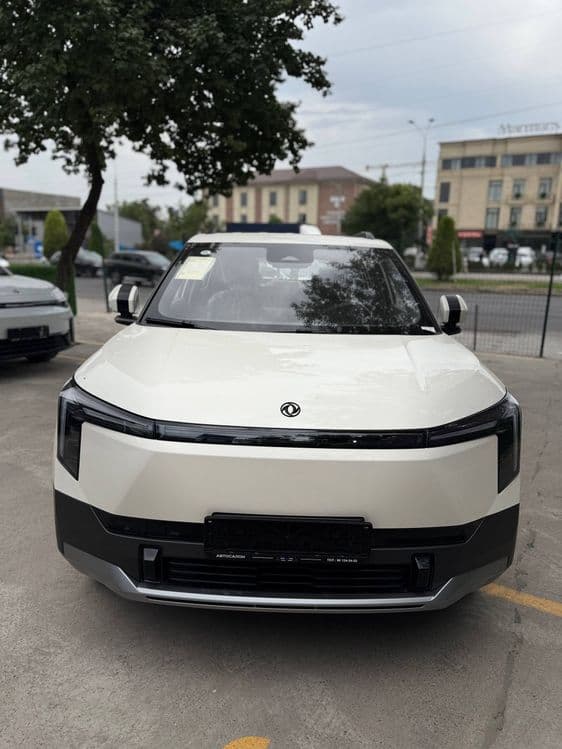 Dongfeng Nammi 06 2026 — 2