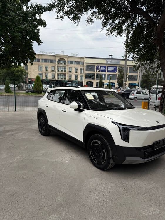 Dongfeng Nammi 06 2026 — 3
