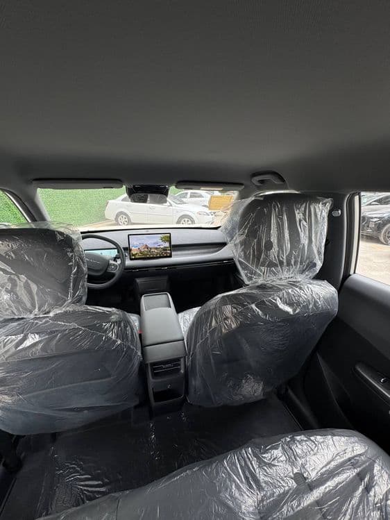 Dongfeng Nammi 06 2026 — 5