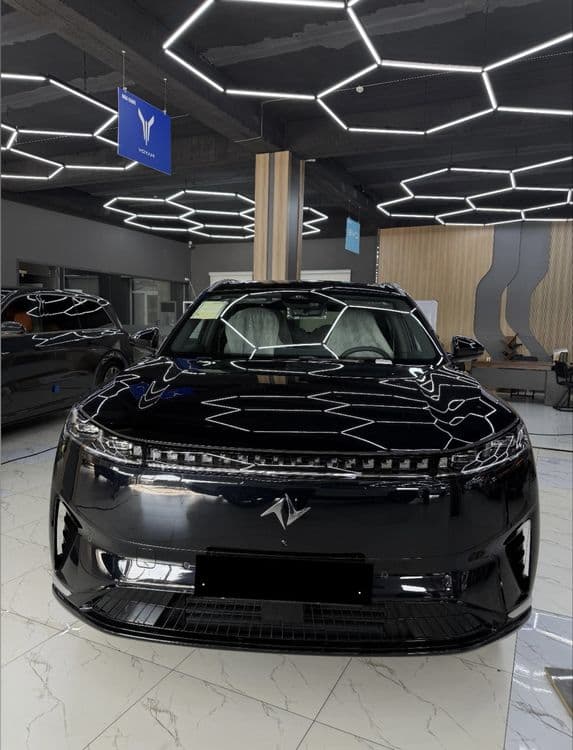 Dongfeng 008 gibrid — 1