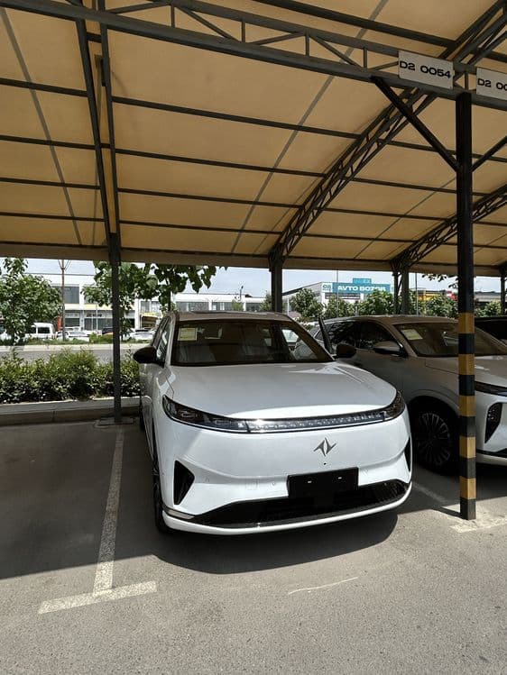 Dongfeng 008 rest — 1