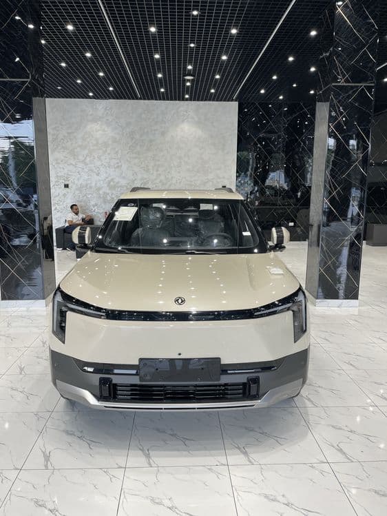 Dongfeng NAMI 471 km — 1