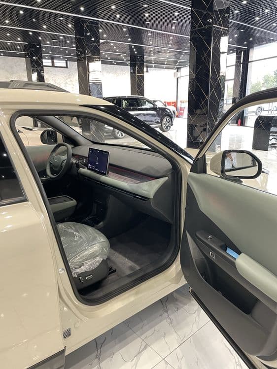 Dongfeng NAMI 471 km — 3