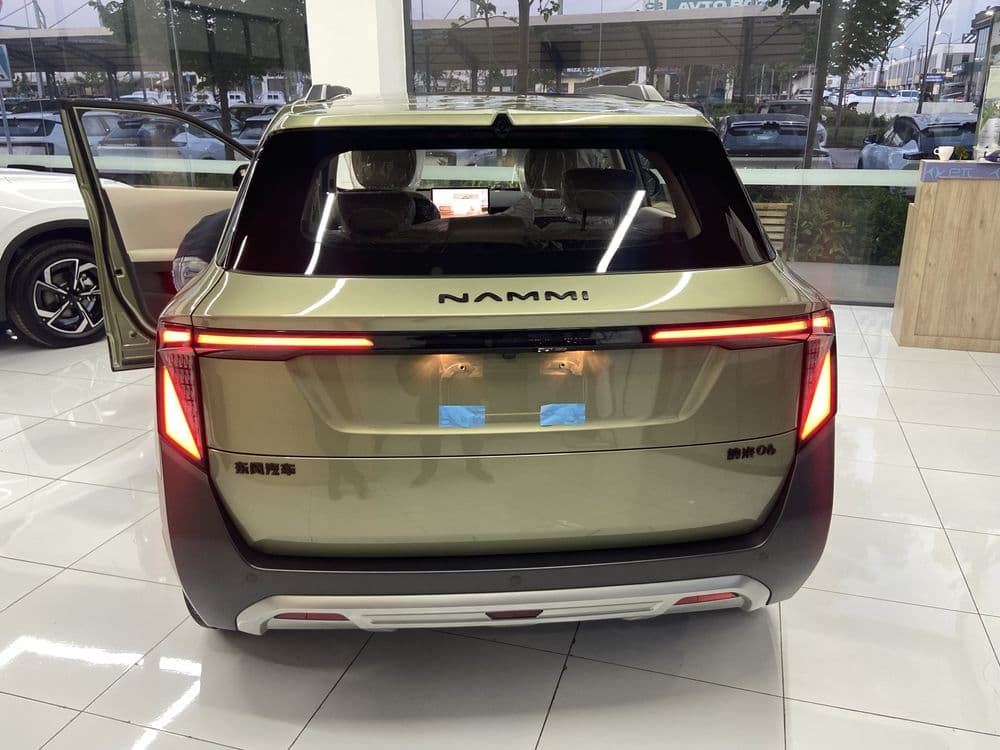Dongfen Nammi 06 elektromobil 401 km — 5