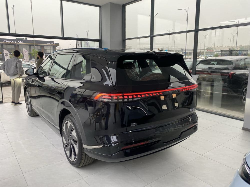 Dongfeng 008 EP 210 Ultra 2026 — 3