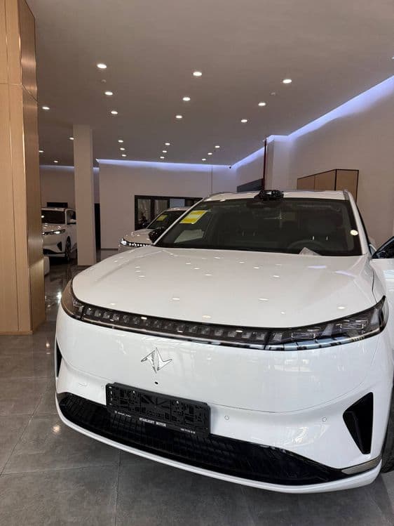 Dongfeng 008  RESTAYL 2026 mokriy salon — 1