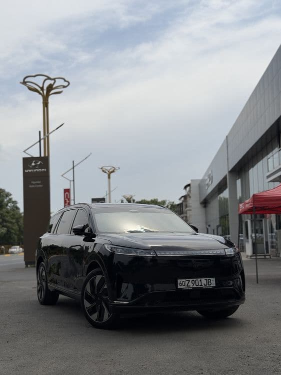 Dongfeng 008 MAX — 1