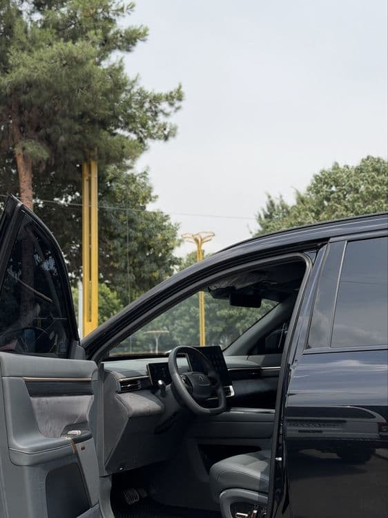 Dongfeng 008 MAX — 3
