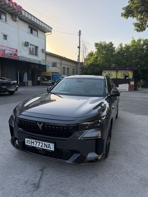 Voyah free 318km apollo tech — 1
