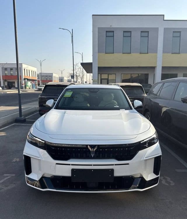 **Voyah free 318 appolotech 2025 — 1