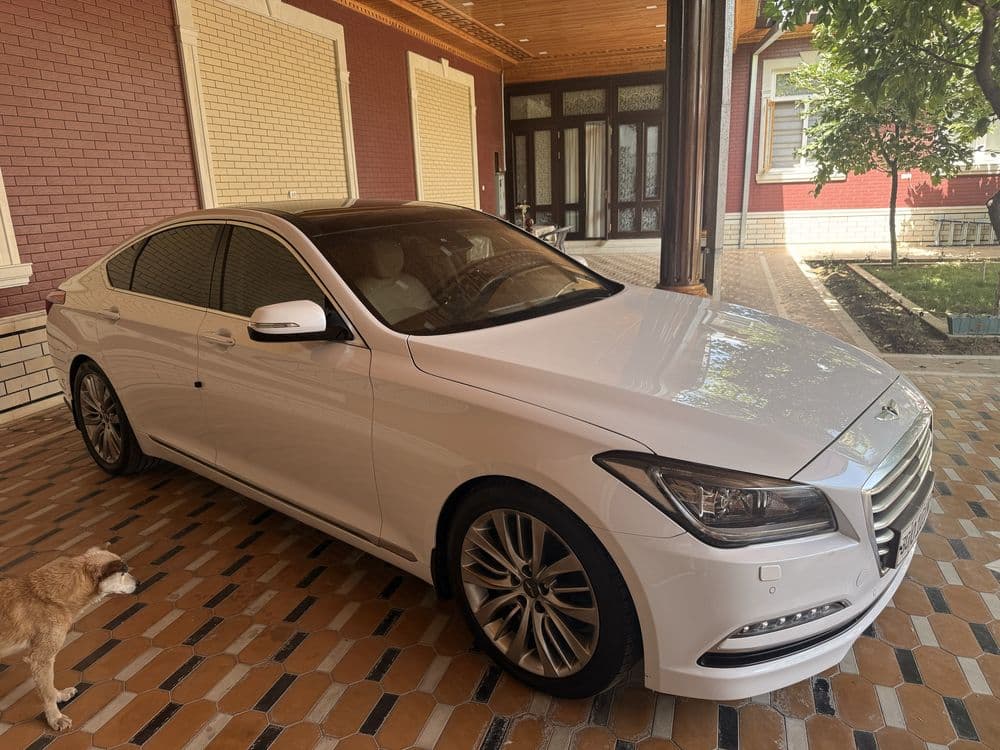 Genesis G80 2014 yil — 3