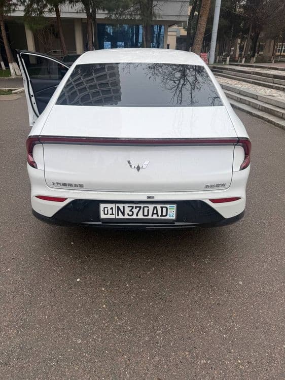 Wuling starlight s-pure — 2